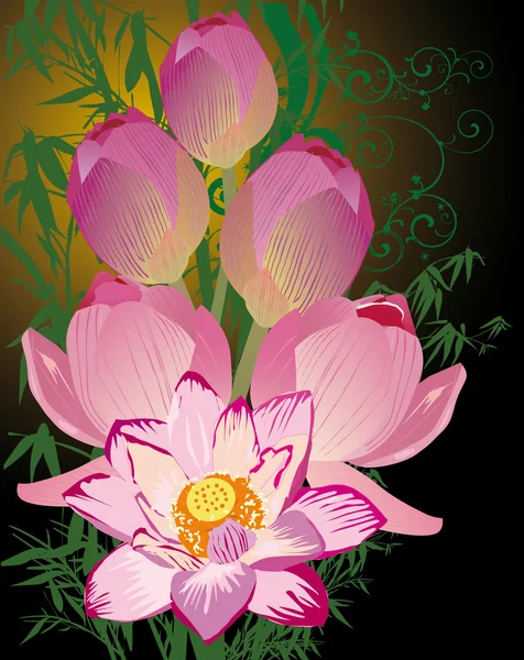 Illustratie met roze lotus boeket — Stockvector