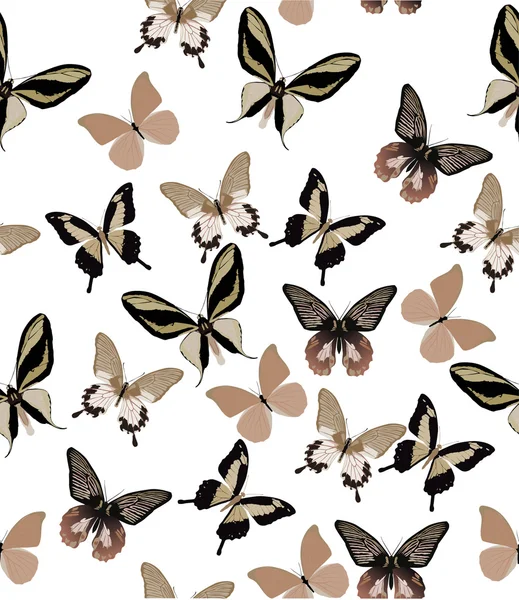 Light brown butterfly background — Stock Vector