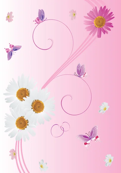 Heřmánek dekorace a růžová motýli — Stockový vektor