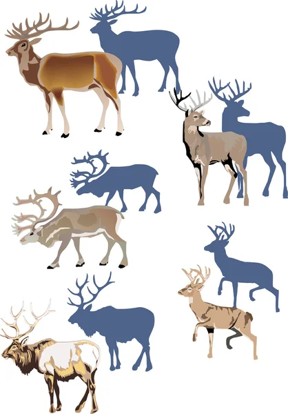 Horned animals with shadows — Stock Vector