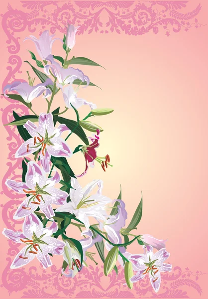 Lilienblüten auf rosa — Stockvektor