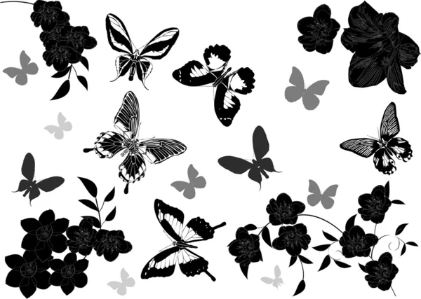 Grijze en zwarte vlinders boven bloemen — Stockvector