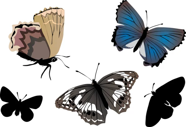 Colección de cinco mariposas abstractas — Archivo Imágenes Vectoriales
