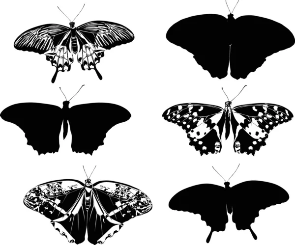 Seis borboletas brancas e pretas —  Vetores de Stock