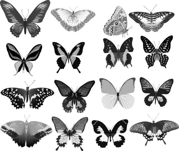 Шестнадцать серых бабочек — стоковый вектор