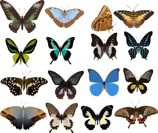 Conjunto de dieciséis mariposas de color — Vector de stock