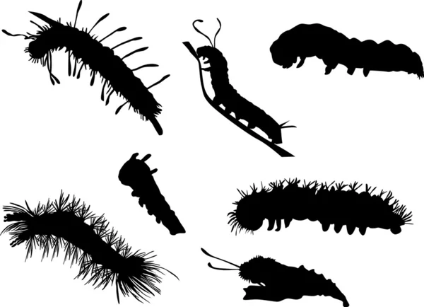 Caterpillar silhouettes collection — Stock Vector