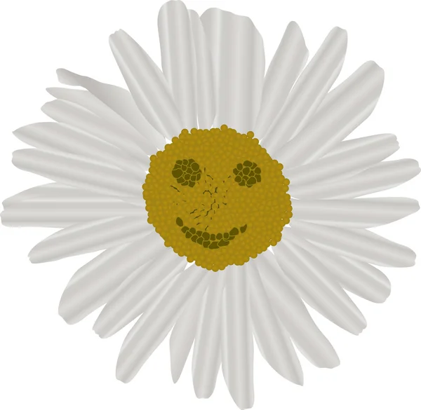 Camomilla fiore con sorriso illustrazione — Vettoriale Stock
