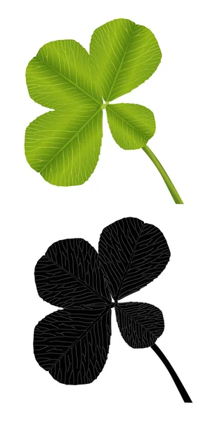緑と黒のクラウアー葉 — ストックベクタ
