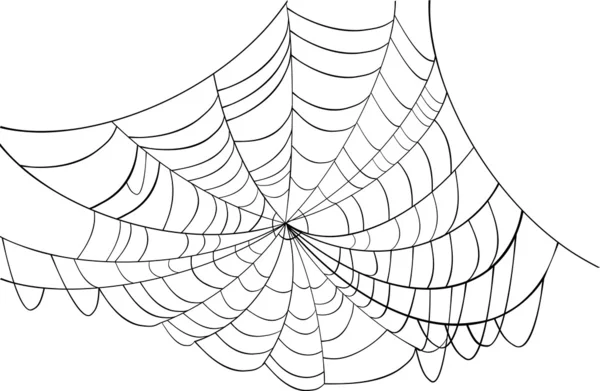 Enkel svart web illustration — Stock vektor