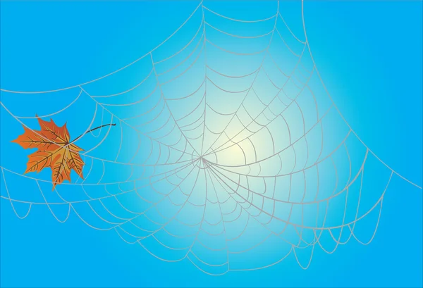 Maple leaf and spider web — Stock Vector