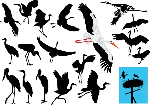 Stork samling på vit — Stock vektor