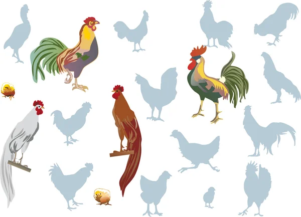 Roosters on white collection — Stock Vector