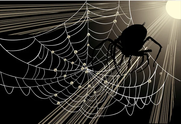 Big spider in web — Stock Vector