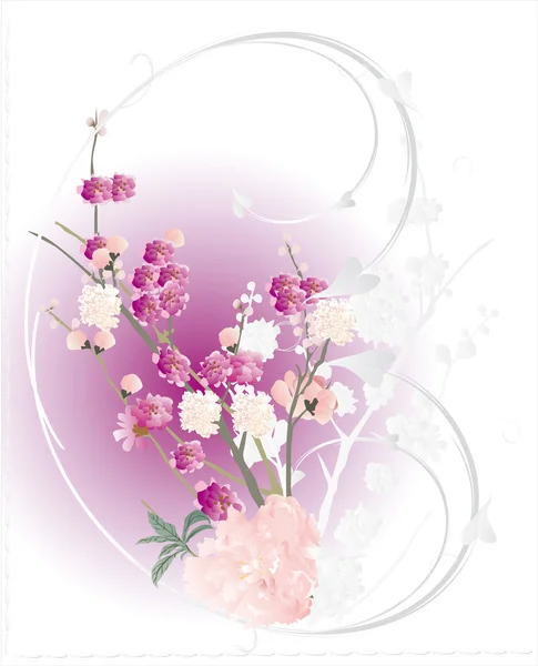 White and pink cherry tree flowers — Stock Vector