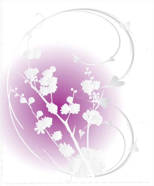 Fehér cherry tree virágok rózsaszín — Stock Vector