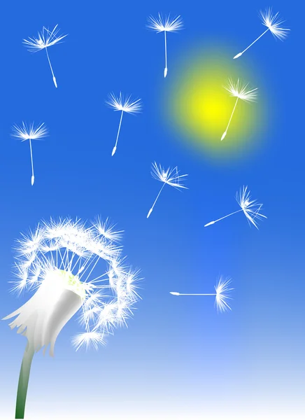 Pissenlit blanc sous le soleil — Image vectorielle