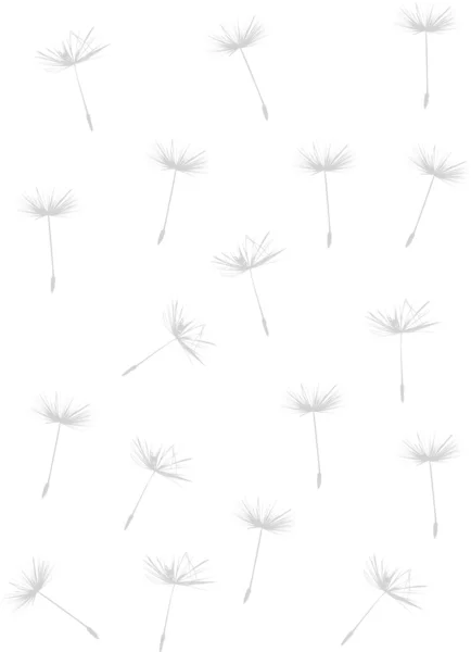 Light dandelion background — Stock Vector