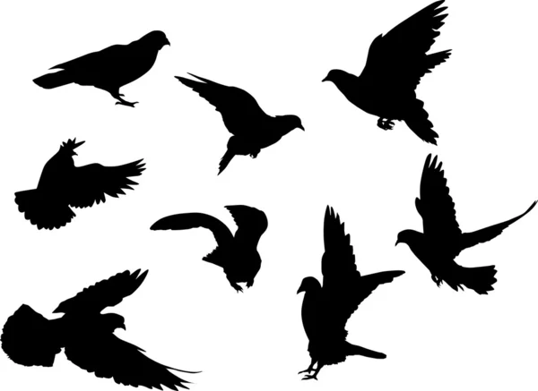 Eight dove silhouettes — Stock Vector