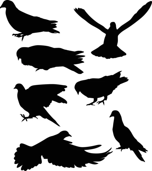 Zeven zwarte duiven — Stockvector