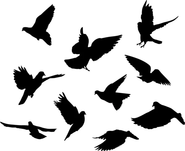 Силуэты десяти голубей — стоковый вектор