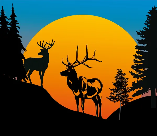Два оленя в лесу на закате — стоковый вектор