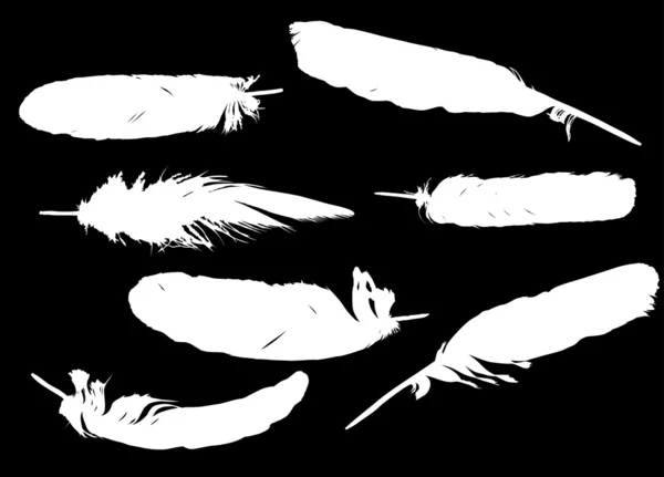 Ilustración de siete plumas blancas — Vector de stock