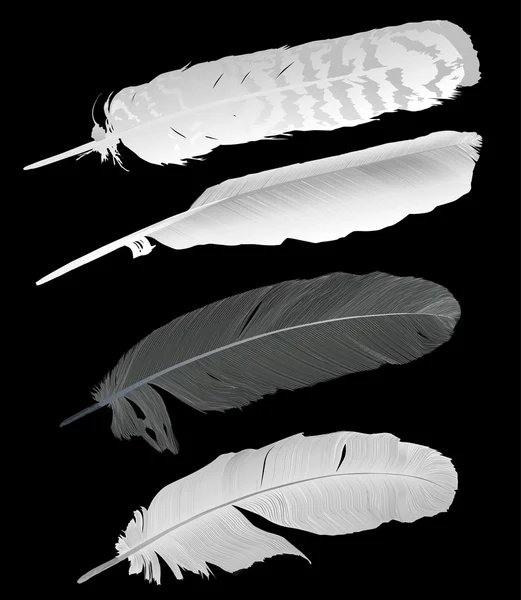Set of four detailed feathers on black — Stock Vector