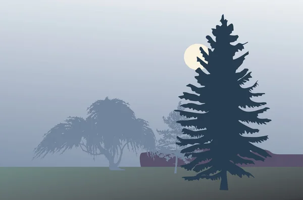 Abete in nebbia illustrazione — Vettoriale Stock