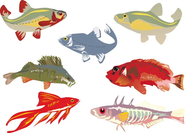Kolekcja siedmiu kolorów ryby — Wektor stockowy