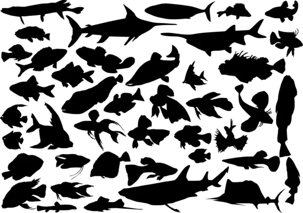 魚のシルエットの大規模なコレクション — ストックベクタ