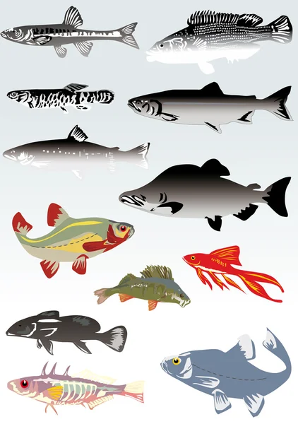 Reihe von Fischen auf hellem Hintergrund — Stockvektor