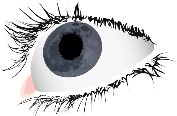Eye and moon reflection illustration — Stock Vector