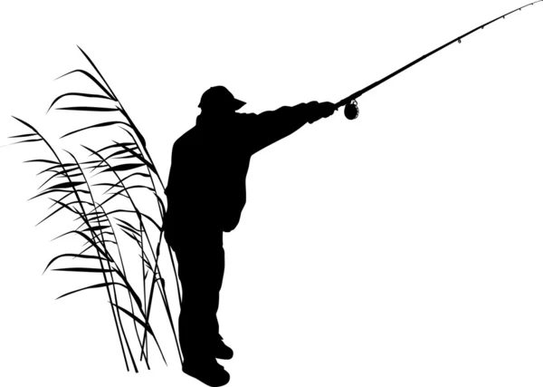 Silhouette of fisherman in reed — Stock Vector