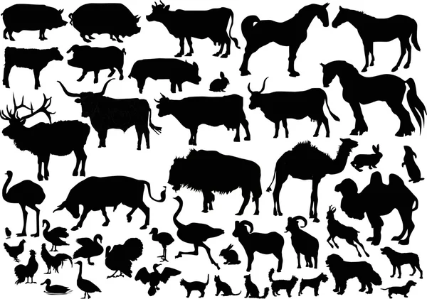 Collection of farm animals silhouettes — Stock Vector
