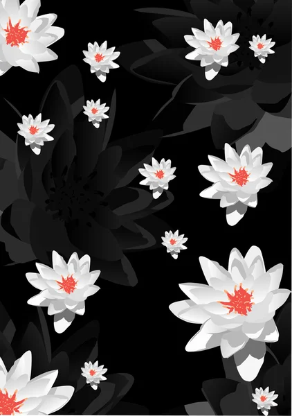 Background with white lily flowers — Stock Vector