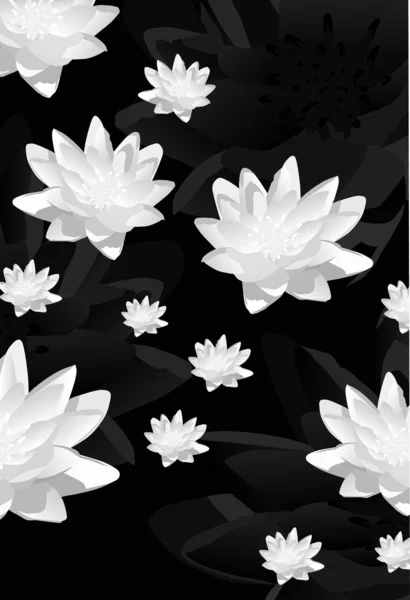 灰色百合花卉背景 — 图库矢量图片