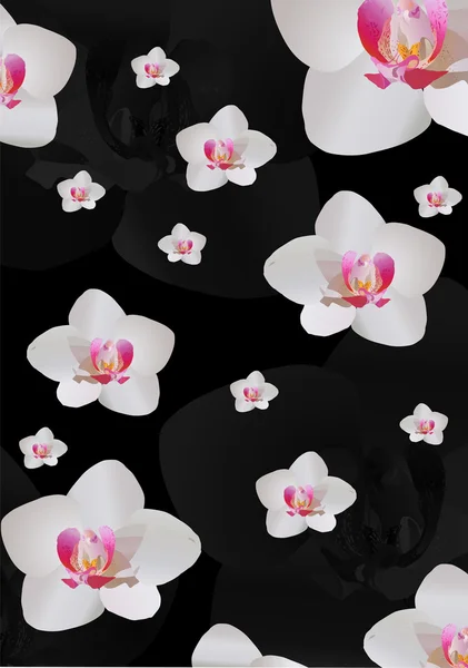 Achtergrond met witte orchideebloemen — Stockvector