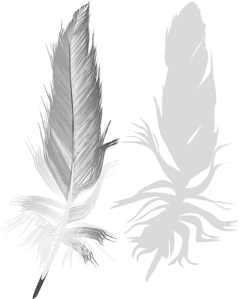 Серые перья с тенью — стоковый вектор