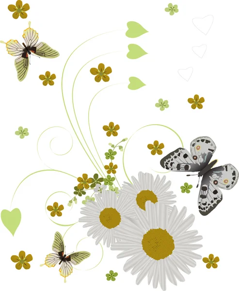 Tre fjärilar och chamomiles på vit — Stock vektor