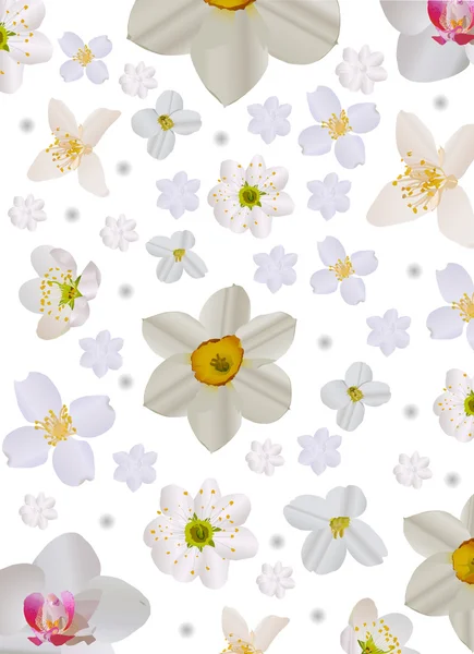 Achtergrond met lichte bloemen illustratie — Stockvector