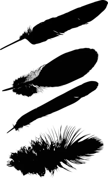 Four black feathers isolated on white — Stock Vector
