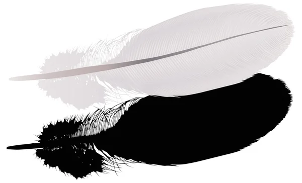 Сіре перо з тіні на білому — стоковий вектор
