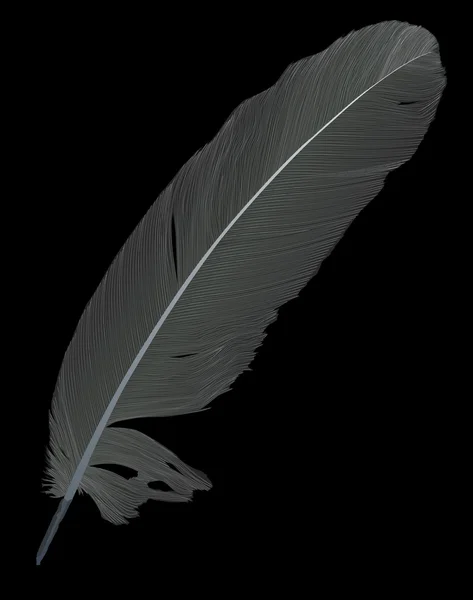 図は黒い上の光の羽 — ストックベクタ