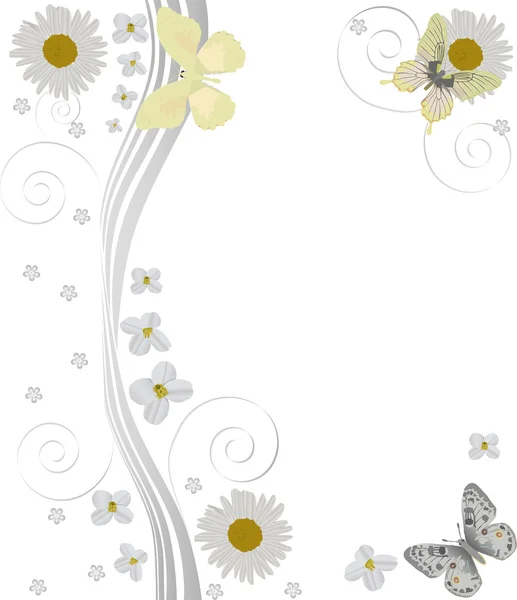 Světlo tři motýlů a chamomiles na bílém pozadí — Stockový vektor