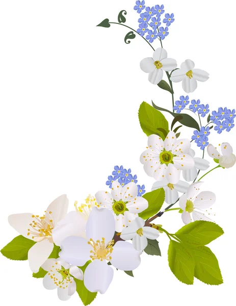 Jazmín y flores de cerezo diseño — Archivo Imágenes Vectoriales