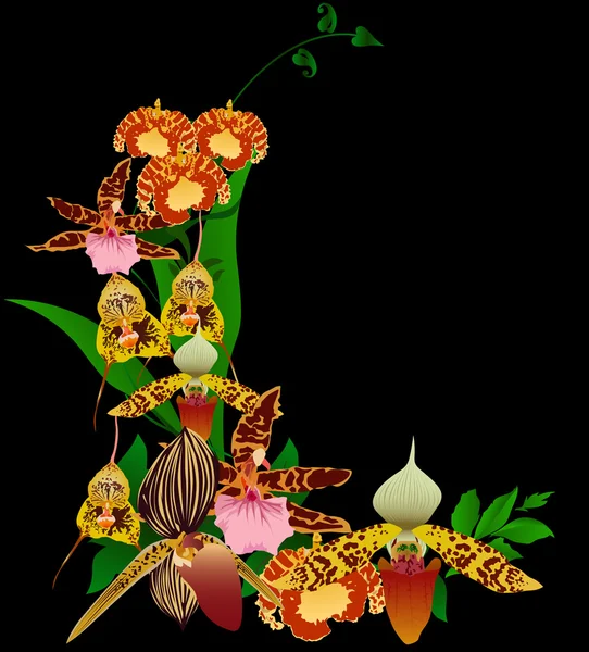 Ramo de flores de orquídea diferente en negro — Archivo Imágenes Vectoriales