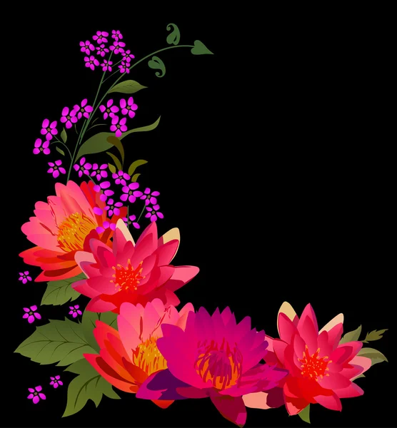 Ljusa rosa lily blommor på svart — Stock vektor