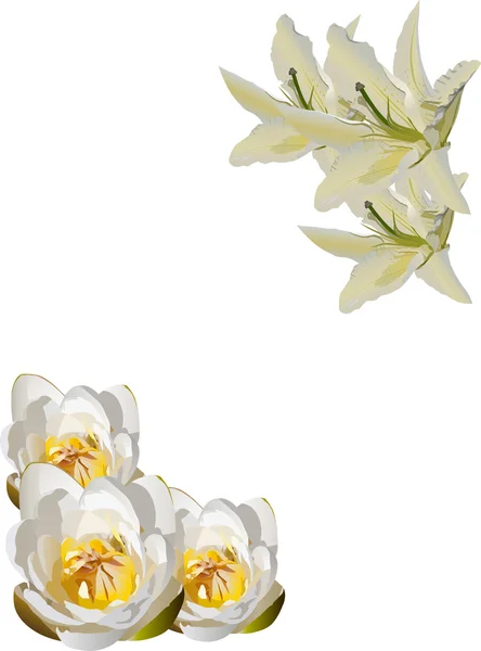 Šest bílé lilie dekorace — Stockový vektor
