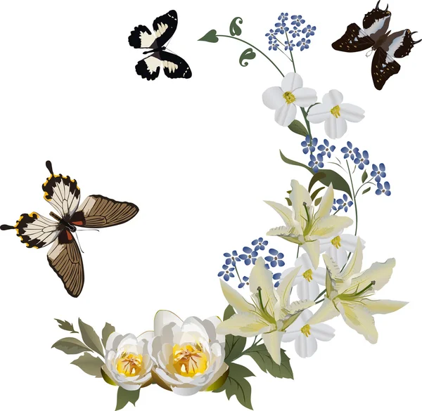 Lilienrolle und drei Schmetterlinge — Stockvektor